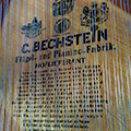 Bechstein Model B grand piano soundboard with strings and decal